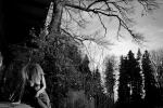 PHE_2019_212628