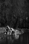 PHE_2019_213167