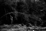 PHE_2019_213300