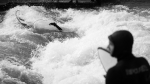PHE_2020_243625