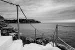 PHE_2019_218479