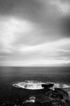 PHE_2019_218674