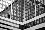 DSC_2011_002005